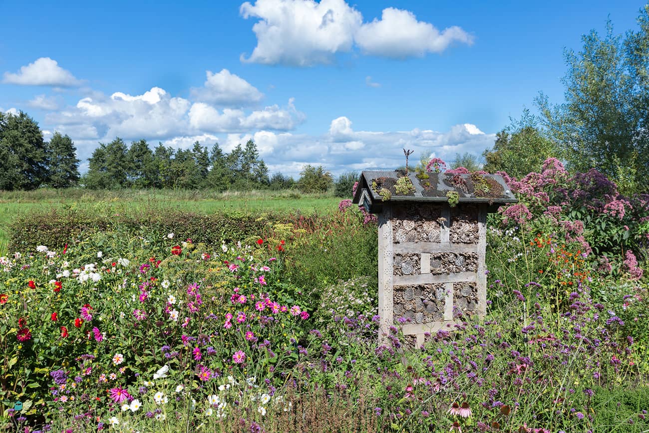 Des oyas pour alimenter votre jardin/potager en eau ? - Blog ECO L'EAU